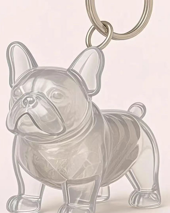 Poil De Chien Souvenir Porte Clé Capsule Mémoire Pendentif