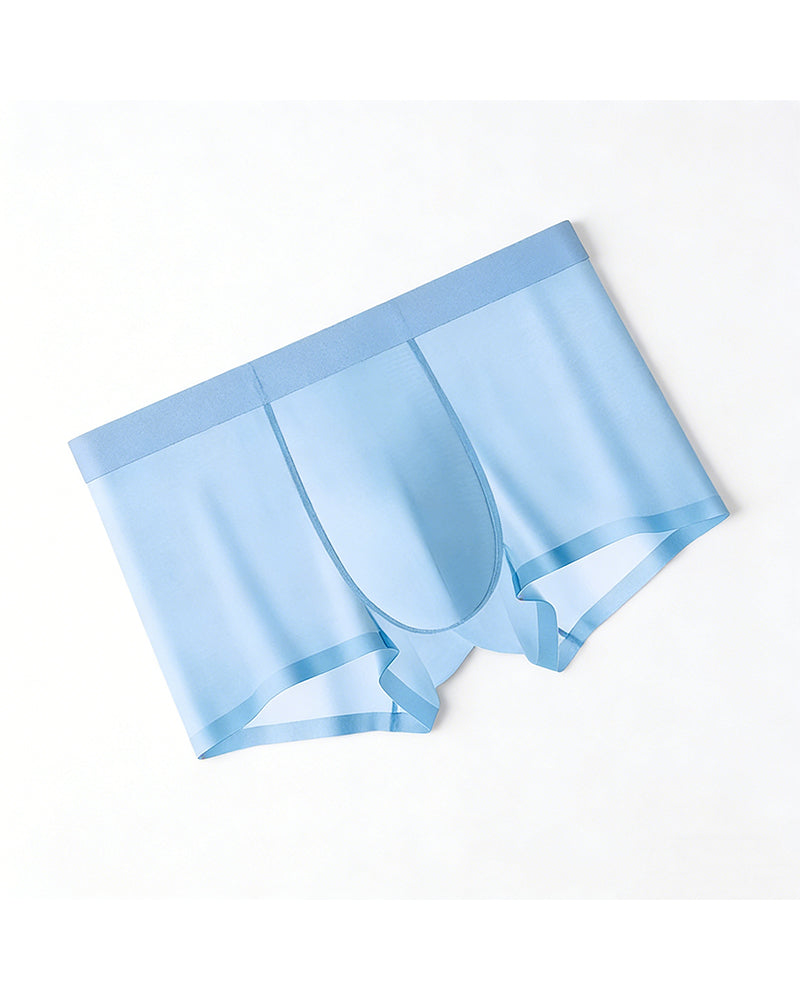 Sous-Vêtements Homme Soie De Glace