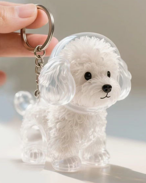 Poil De Chien Souvenir Porte Clé Capsule Mémoire Pendentif