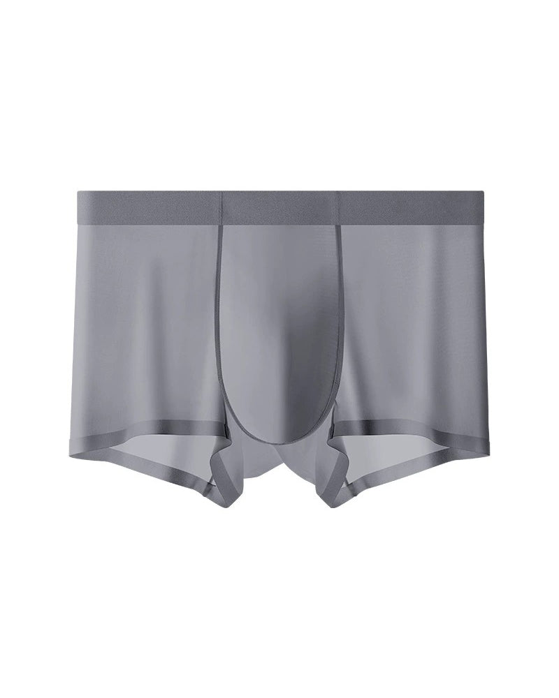 Sous-Vêtements Homme Soie De Glace
