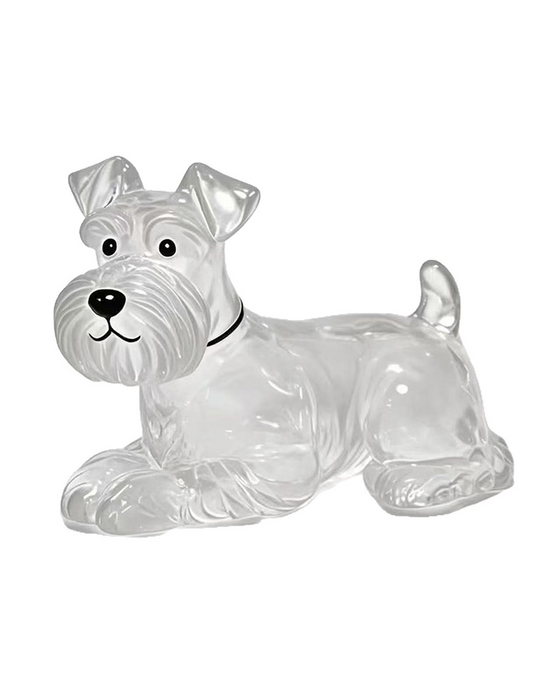 Poil De Chien Souvenir Porte Clé Capsule Mémoire Pendentif