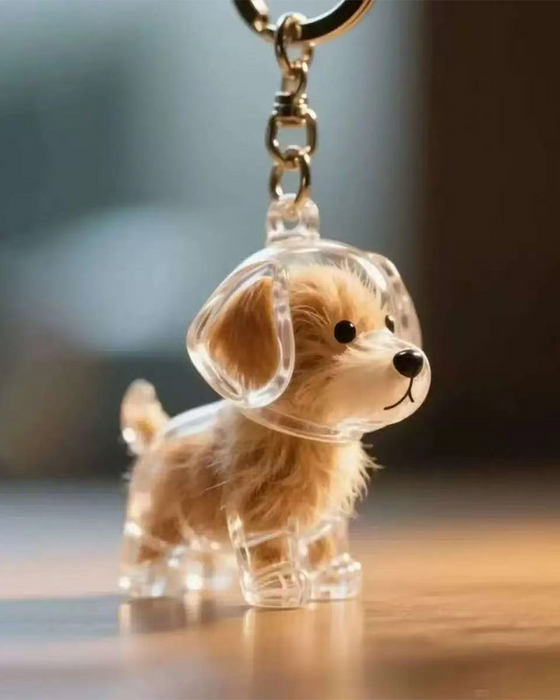 Poil De Chien Souvenir Porte Clé Capsule Mémoire Pendentif
