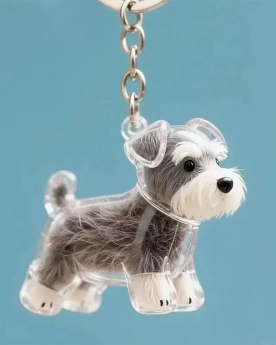 Poil De Chien Souvenir Porte Clé Capsule Mémoire Pendentif