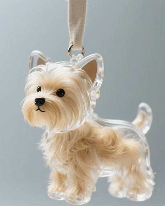 Poil De Chien Souvenir Porte Clé Capsule Mémoire Pendentif