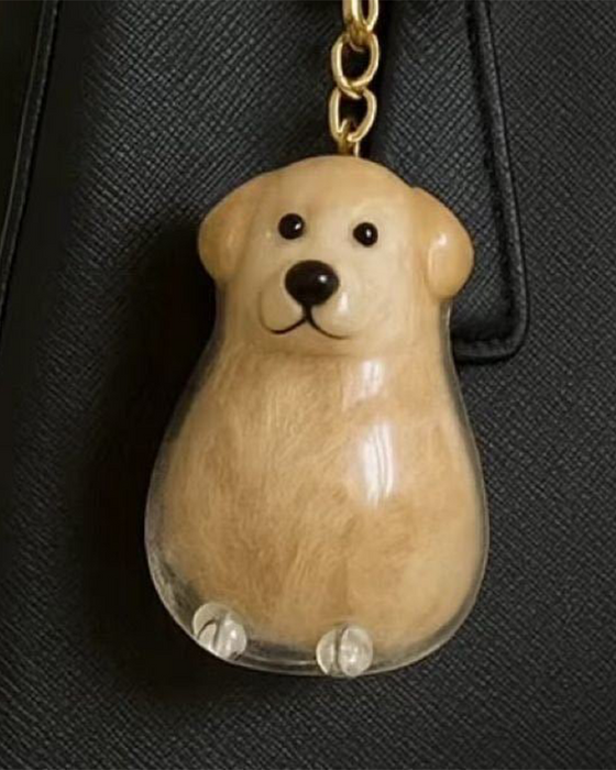 Poil De Chien Souvenir Porte Clé Capsule Mémoire Pendentif