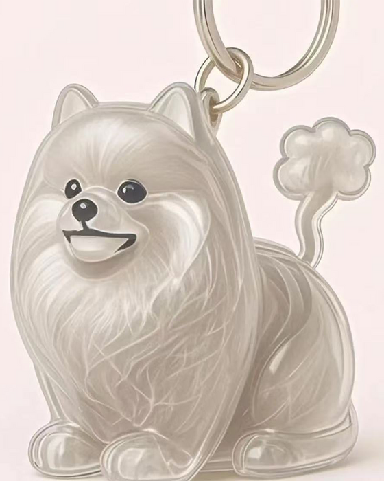 Poil De Chien Souvenir Porte Clé Capsule Mémoire Pendentif