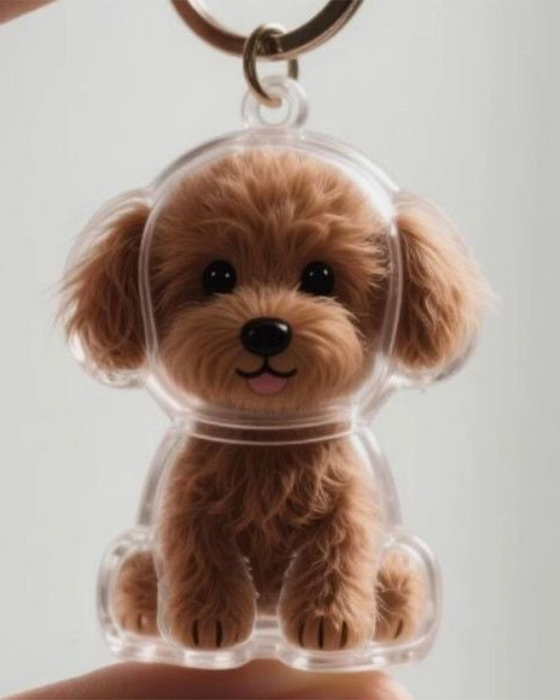 Poil De Chien Souvenir Porte Clé Capsule Mémoire Pendentif