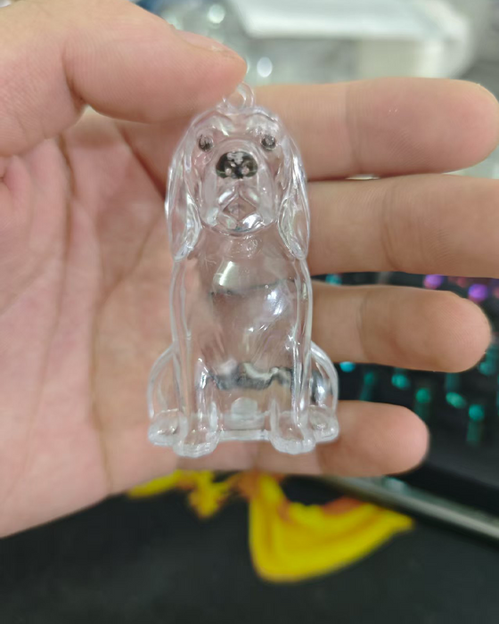 Poil De Chien Souvenir Porte Clé Capsule Mémoire Pendentif